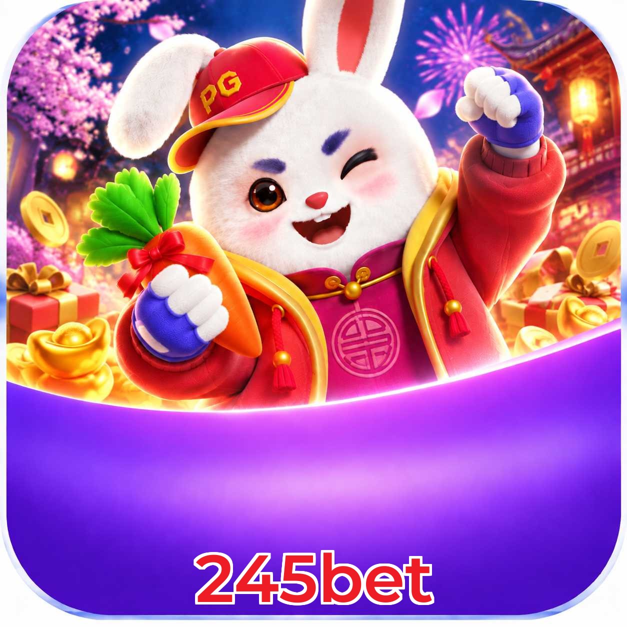 245bet App Features