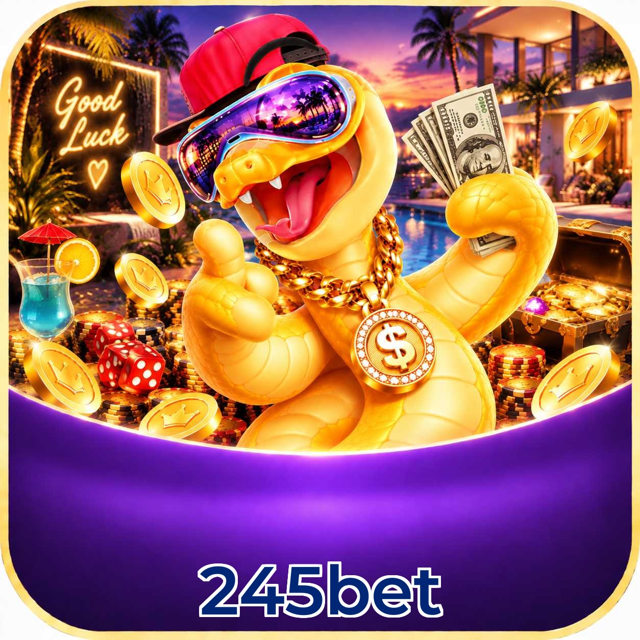 245bet Logo